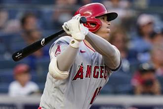 MLB》大谷翔平狂吸40％賭金 被看好獲選MVP