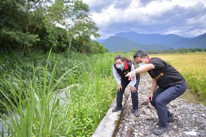 花莲县长徐榛蔚日前建设处长邓子榆前往玉里镇大禹地区等处，视察向中央争取的治水工程规画。（花莲县政府提供／罗亦晽花莲传真）