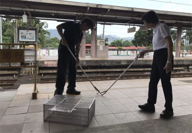 花莲县农业处接手消防局捕蜂捉蛇的业务，将委托厂商结合义消单位共同执行。（花莲县消防局提供／罗亦晽花莲传真）