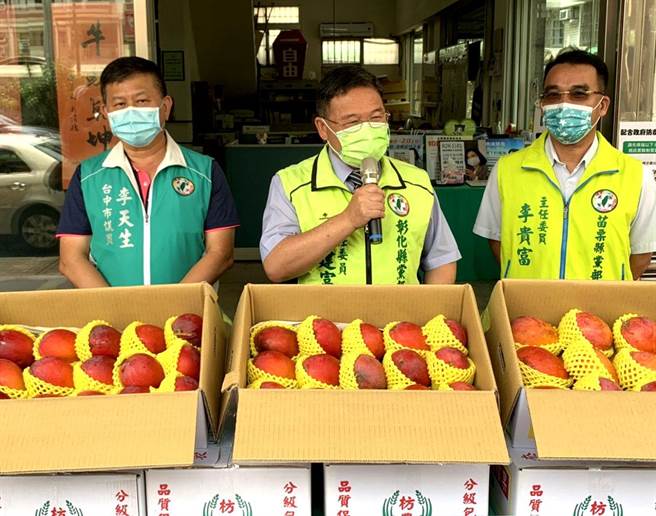 民進黨全國主委聯誼會會長邱建富（中）號召全國黨部「採買屏東與台南芒果、用行動相挺果農」。（王文吉攝）