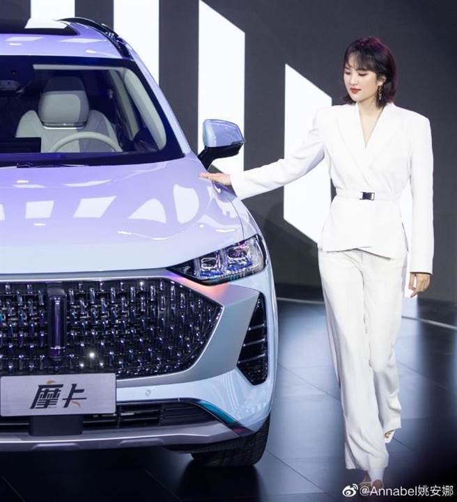 姚安娜被网友酸五官浮肿。（图/翻摄自微博）