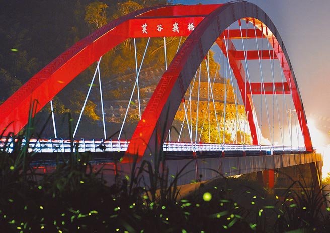 公路總局第五區養護工程處，在阿里山公路台18線營造多處螢火蟲微棲地。（公路總局第五區養護工程處提供／呂妍庭嘉義傳真）