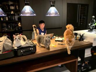 陳鎮川受疫情衝擊慘賠數千萬 阿妹明年啟動全新巡演