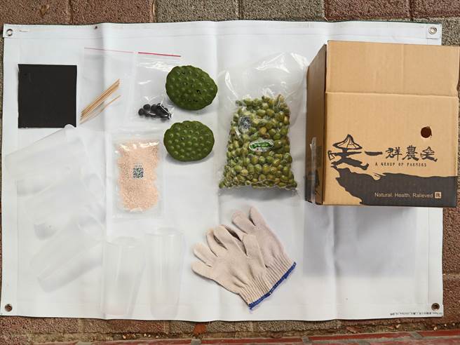 將軍山農場事先將材料箱寄給學員，讓他們居家就能體驗剝蓮子樂。（張毓翎攝）