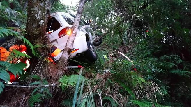 白色休旅车倒栽葱墬落道路下方15公尺深山谷，被树干挡住。（民眾提供／王文吉台中传真）