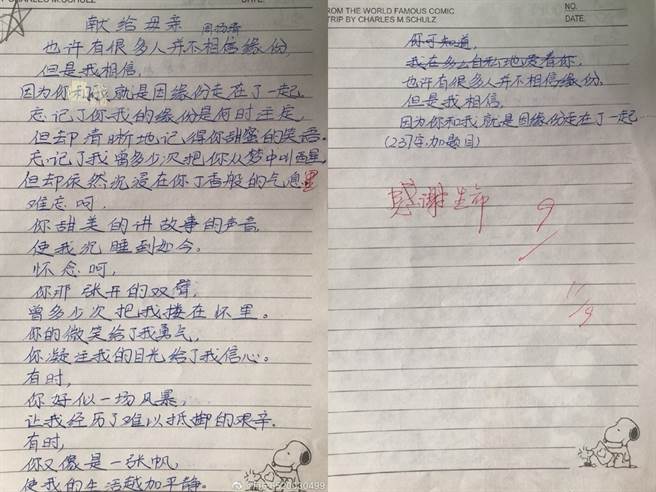 周扬青公开分享小时候的作文，字迹和名字的讨论度很高。（图／微博@用户6520030499）