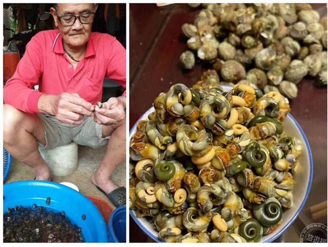 许文雄採海螺生活的故事 (图：淡水区渔会提供) 
