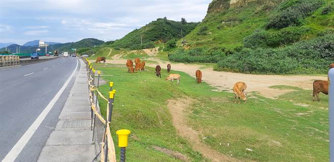 水牛坑周遭公路旁的出入口使用鋼筋及螺帽圍住避免汽機車進入（林口區公所提供／戴上容新北傳真）