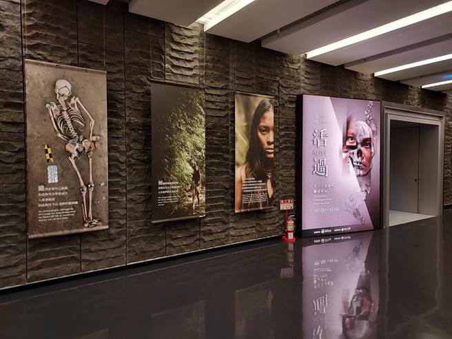 南科考古馆推出「我们活过：考古人骨遗骸暨墓葬展」，将于7月3日上午10时于南科考古馆脸书粉丝专页以线上开展。（南科考古馆提供／刘秀芬台南传真）