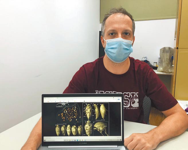 国立中山大学生物科学系捷克籍助理教授马丁·费卡契与团队在「奥波莱西里龙」粪便化石中发现新科甲虫「龙粪三迭藻食甲虫」，该研究结果也有助于三迭纪时期的甲虫研究。（国立中山大学提供／袁庭尧高雄传真）