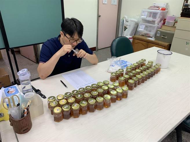 国立虎尾科技大学生物科技系彭及忠教授进行感官品评。（台南市农业局提供／刘秀芬台南传真）