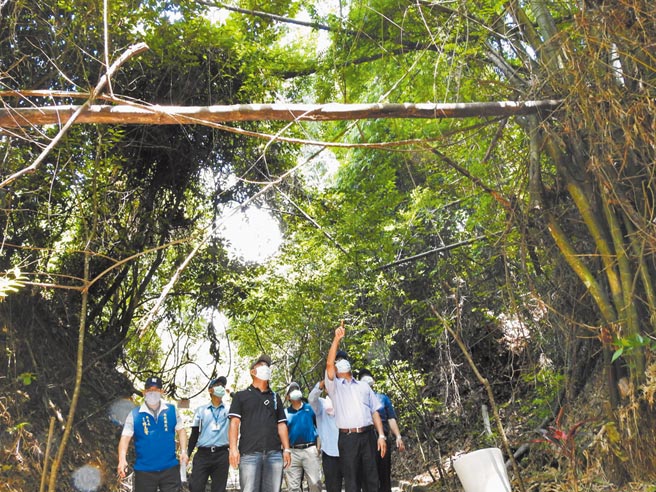 南投县长林明溱（右），2日视察南投市撼龙步道。（南投县政府提供／廖志晃南投传真）