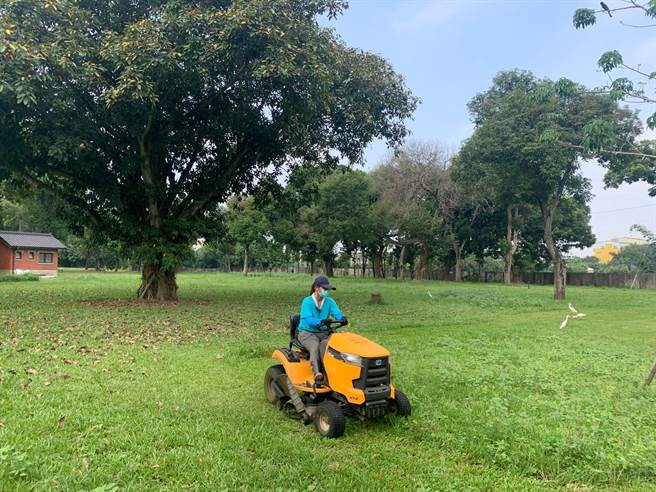 台南山上水道博物馆人员清除园区周边杂草，禽鸟跟在后方觅食。（台南市文化局提供／曹婷婷台南传真）