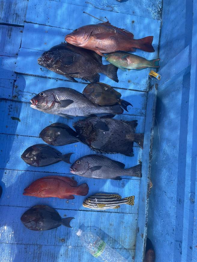 民眾热心检举打鱼，海巡人员在胶筏上查获鱼货一批。(海巡署提供)