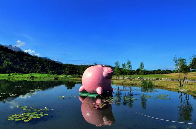 鹿野鄉新良溼地歡樂的「粉紅河馬」， 期待與熱氣球一起飛上天。（莊哲權攝）