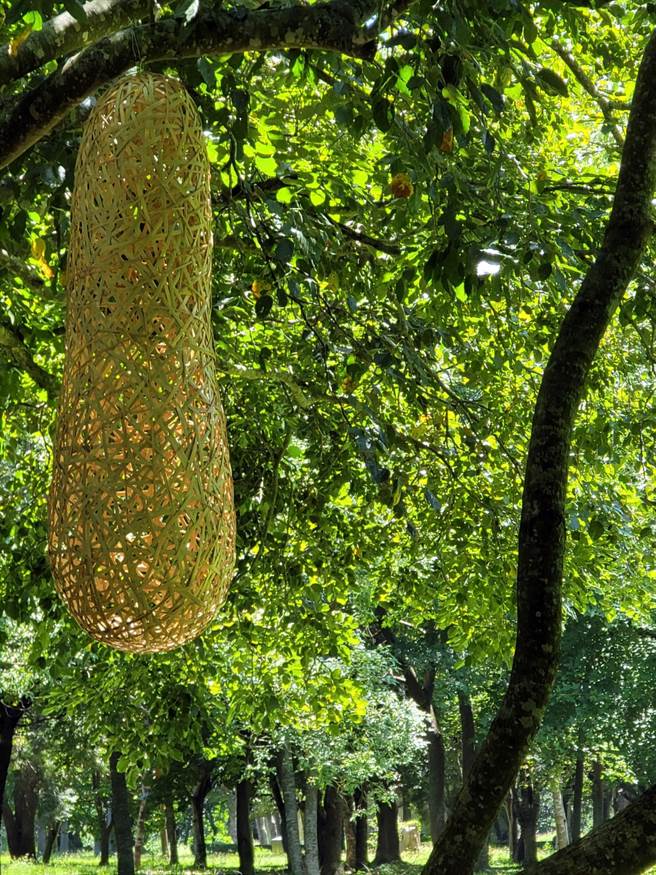 徐暋盛用竹子編織「蛻變前的等待」。（民眾提供）