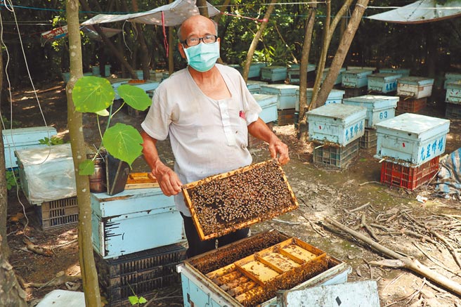 台南市南化区蜂农力顺天养蜂40年，曾多次获奖。（刘秀芬摄）