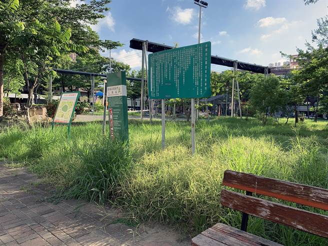 梅雨过后，台南市的公园、空地及校园里杂草丛生。（台南市议会提供／洪荣志台南传真）