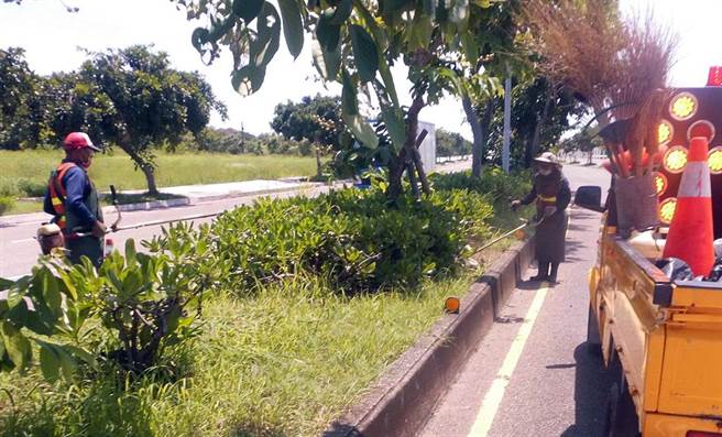 梅雨过后，台南市政府工务局已增派人力针对中央分隔岛及大型公园，加强除草、清除杂草作业，将尽速恢復市容整洁。（工务局提供／洪荣志台南传真）