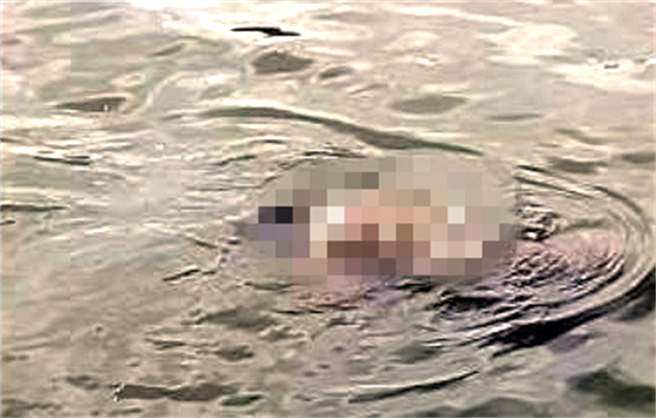 今下午有民眾发现牛稠溪水面漂浮一具男尸，经家属证实就是失联1天的老翁。（读者提供∕吕妍庭嘉义传真）