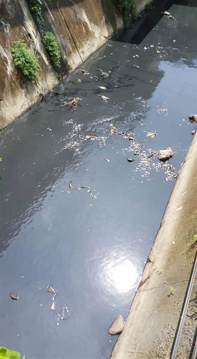 呂姓網友拍下1輛水肥車，將車子停在橋上，一名男子拉著管線將水肥直接倒入排水溝內。（取自「水上人家 幸福家人」臉書社團∕呂妍庭嘉義傳真）