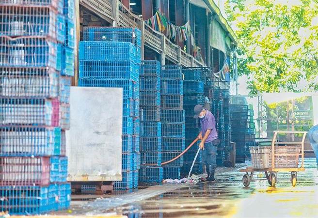 新北家禽合作社日前爆發群聚事件。（資料照）