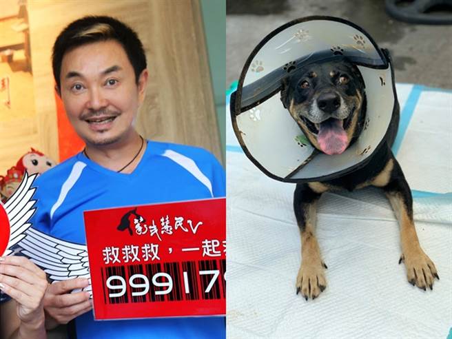 米克斯犬遭撞癱瘓失禁歌仔戲小生眼見這幕鼻酸飆淚 社會 中時新聞網