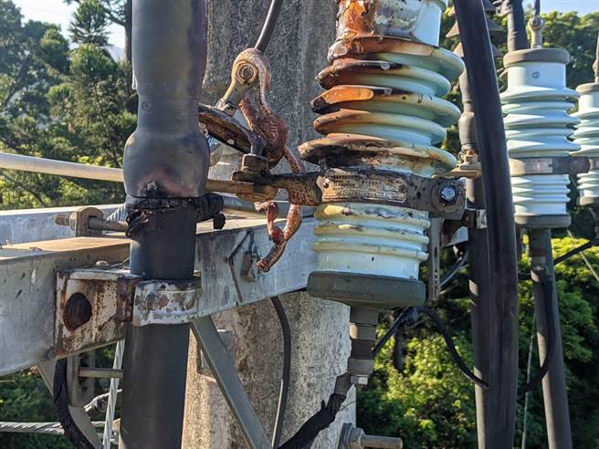 长蛇爬上高压电杆触电，导致楠西1700多户停电。（读者提供／刘秀芬台南传真）