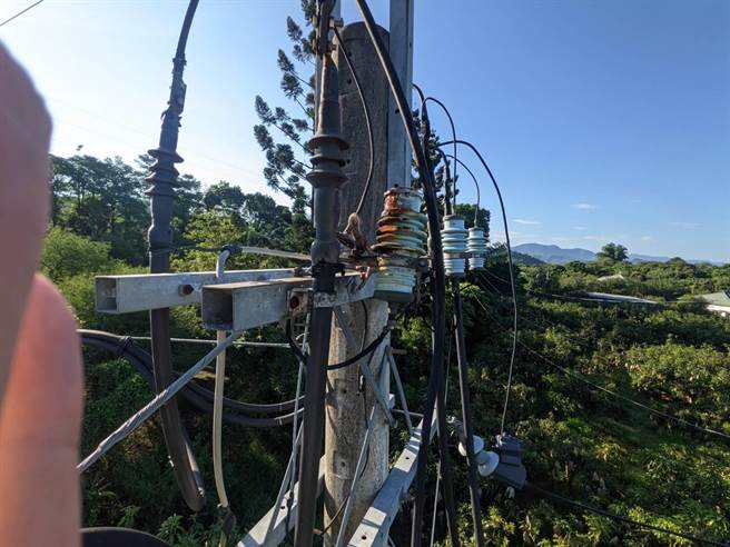 长蛇爬上高压电杆触电，导致楠西1700多户停电。（读者提供／刘秀芬台南传真）