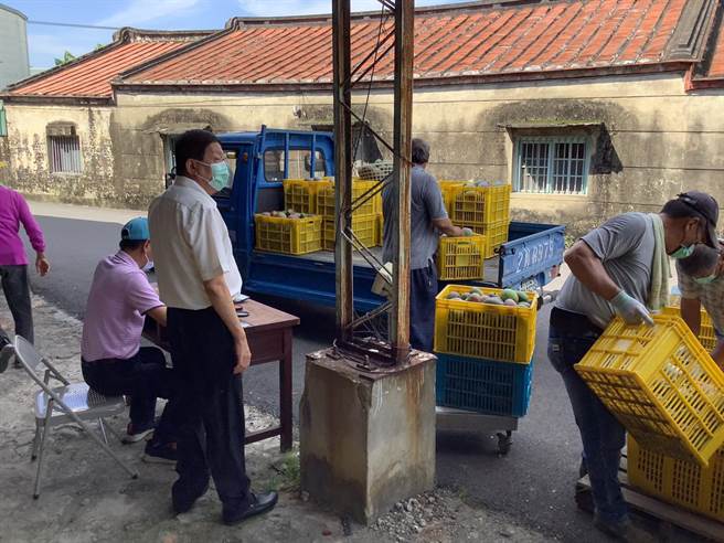 大内农会本周起启动多元循环加工芒果收购，每天都10多公吨。（大内农会提供／刘秀芬台南传真）