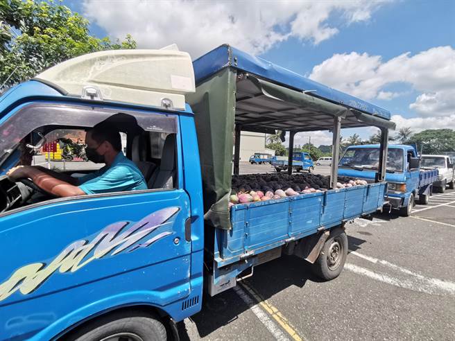 玉井农会加工芒果收购爆量，近30辆果农货车在停车排成长龙。（刘秀芬摄）