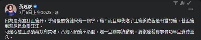 黃越綏透露復健時「痛到漏尿飆淚」。（圖／黃越綏臉書）