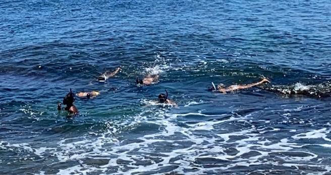 一群比基尼辣妹擅闯小琉球管制中的潮间带景观区戏水，其中有人甚至没戴口罩，遭警警方与海巡署人员当场举发。（图／海巡署提供）