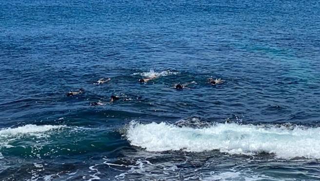 一群比基尼辣妹擅闯小琉球管制中的潮间带景观区戏水，其中有人甚至没戴口罩，遭警警方与海巡署人员当场举发。（图／海巡署提供）