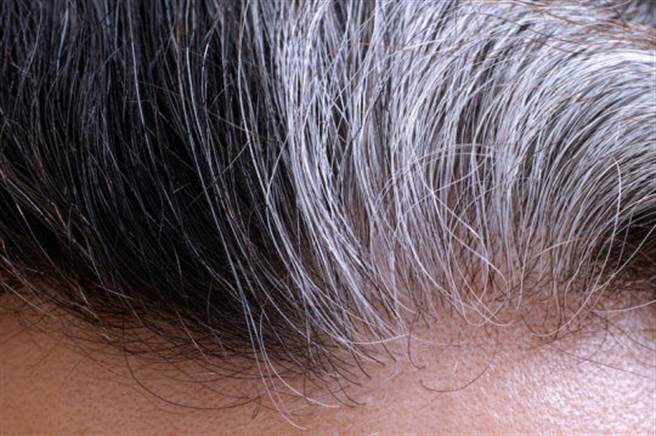 最新研究發現頭髮變白是可逆性的，它可以恢復成原來的顏色！（圖／stock image）
