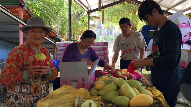 新化大坑农场盛产金煌芒果，由高龄9旬蔡阿嬷(左)和儿子蔡澄文(右二)亲手栽种。(北台南家扶中心提供／曹婷婷台南传真)