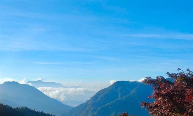 (图片来源/太平山国家森林游乐区FB)