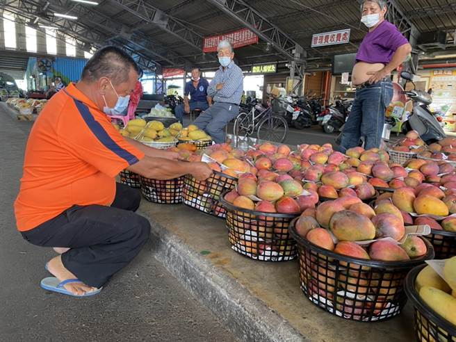 产销措施奏效，台南市玉井青果市场芒果交易均价逐渐回升。（李芳林提供／张毓翎台南传真）