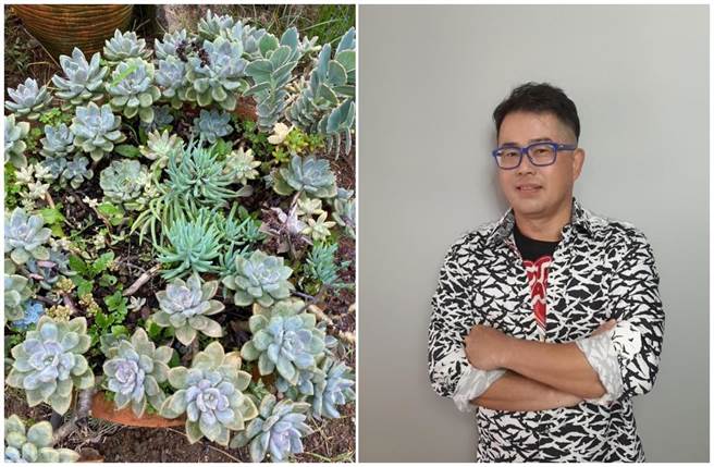 知名设计师林国基很爱种植物，看到它们觉得很疗癒。(艾迪升提供）