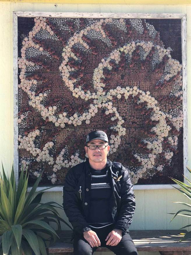 林国基种多肉植物已6年，会特别精心设计。（艾迪升提供）