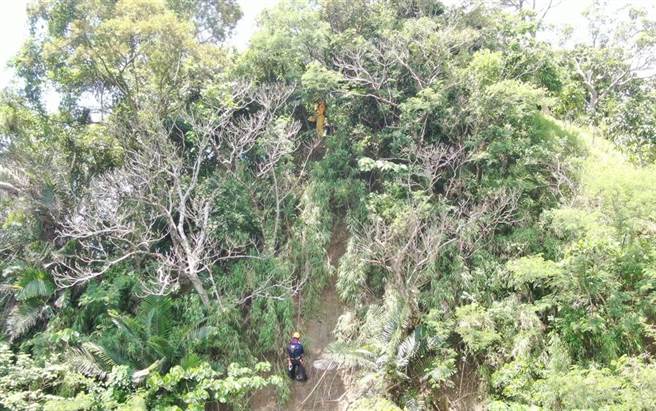 玉井果园失踪11天，退休教授陈尸在深山原始林内，搜救队员正攀爬至峭壁搜救。(刘秀芬/台南传真)