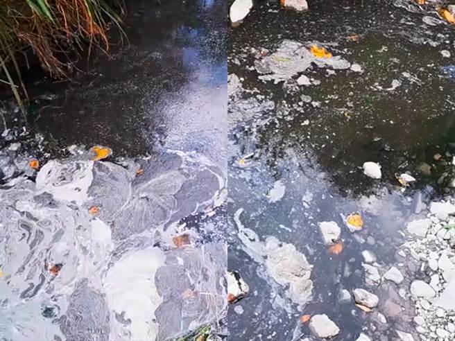 民眾爆料不肖厂商将脂肪尸油与废水直接倒入沟渠，造成水面浮着厚油污，还有整片白色泡沫与咖啡色油渍，爆料者自嘲「屏东特有糖玛奇朵」。（图／翻摄自脸书「爆料公社二社」）