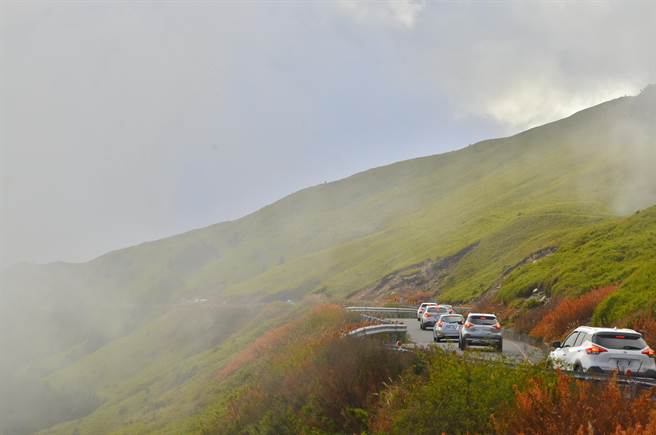 明微解封后，太管处预估合欢山区将涌现车潮与人潮，将实施假日交通管制措施，于台14甲线24k处每10分钟放行20辆车。（太管处提供／罗亦晽花莲传真）