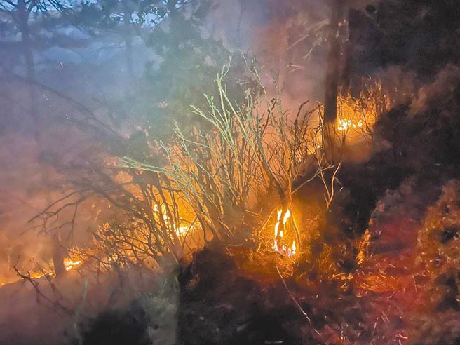 今年5月發生的八通關杜鵑營地森林大火，森林護管員在陡峭的林地上徒手開闢防火線。（嘉義林管處提供／張亦惠嘉縣傳真）