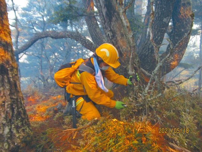 今年5月發生的八通關杜鵑營地森林大火，森林護管員在陡峭的林地上徒手開闢防火線。（嘉義林管處提供／張亦惠嘉縣傳真）