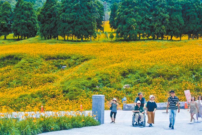 花蓮上山賞金針花入口人流管制 地方新聞 中國時報