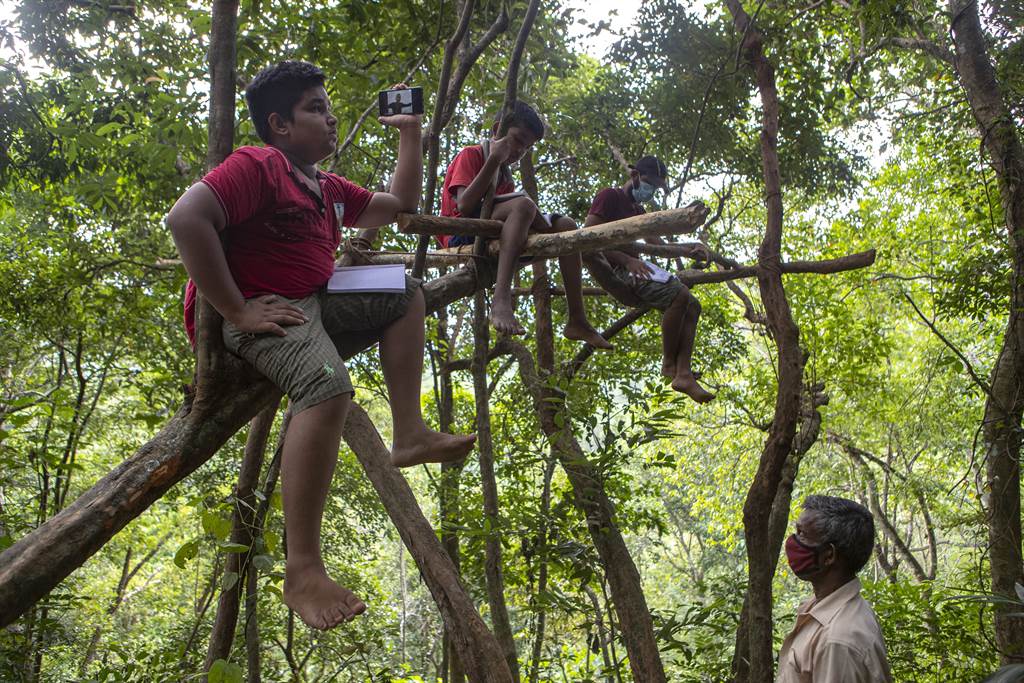 斯里兰卡偏乡孩童们每天得穿过茂密且有勐兽出没的丛林，爬到山顶的树上，才能连上网路接受线上授课。（图／美联社）(photo:ChinaTimes)