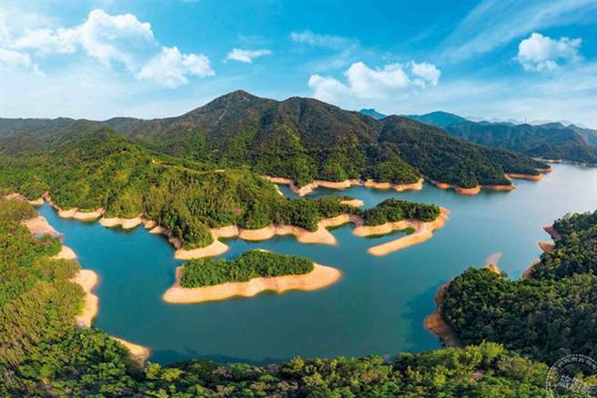 位于城门水塘的白千层树林风景如画（图片：港旅局提供 ）