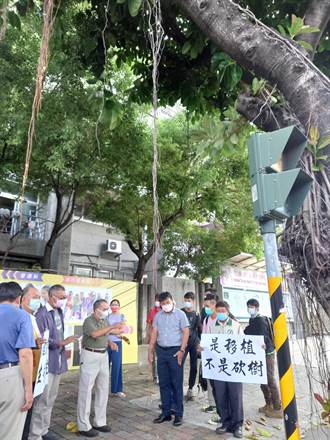 守著紅瓦綠葉意象 台南文史工作者籲留健康路老樹