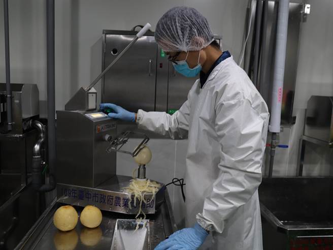 东势区农会蔬果截切场建置自动削皮机，採半自动方式生产。（王文吉摄）